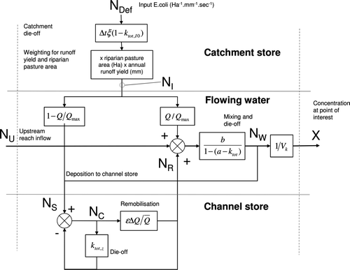 Fig. 3  Model arrangement for catchment input of Escherichia coli to the river network.