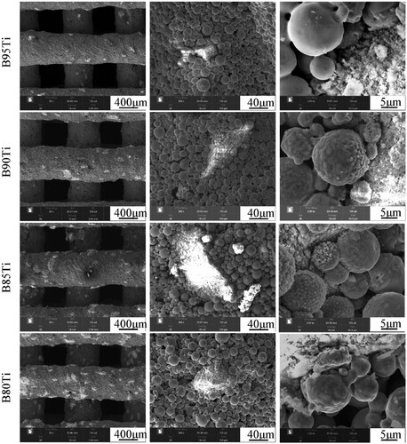 Figure 10. SEM images of sintered scaffolds of B95Ti, B90Ti, B85Ti, and B80Ti.