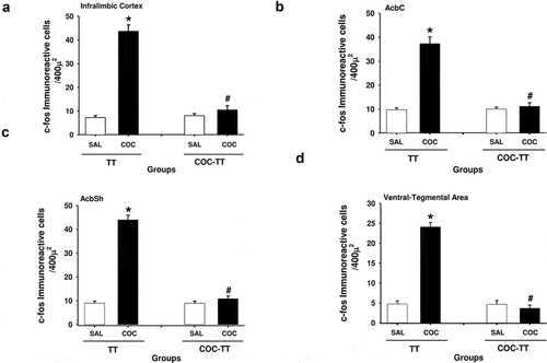 Figure 2. COC-TT vaccine reduces the number of cells immunoreactive to c-fos. Number of cells immunoreactive to c-fos (±S.E.M.) by group (n = 8 animals per group) in the infralimbic cortex (a), AcbC (b), AcbSh (c), and ventral-tegmental area (d). *p < .01 significant effects on the number of cells immunoreactive to c-fos in the TT + COC group compared to the TT + SAL group. #p < .01 significant effects between the TT + COC and COC-TT + COC groups, as determined by two-way ANOVA followed by Tukey’s tests.