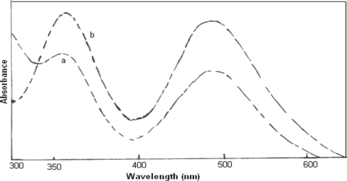 FIG. 7 UV-vis spectra of polyaniline dissolved in (a) 1 M HCl; (b) deionized water.