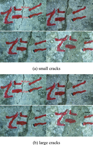 Figure 6. Self-healing of basalt fibre mortar mixed with CA only at 3, 7 and 28 days: (a) small cracks, (b) large cracks.