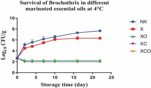 Figure 11. Population increase of Brochothrix (log10 CFU/g ± SEM) in different marinated essential oils samples after storage for 0, 2, 4, 7, 10, 16, and 22 days at 4°C. NX-Non marinated, X- Marinated, XO- Marinated +Oregano oil, XC- Marinated +Citrox, XCO- Marinated + Citrox+ Oregano oil.