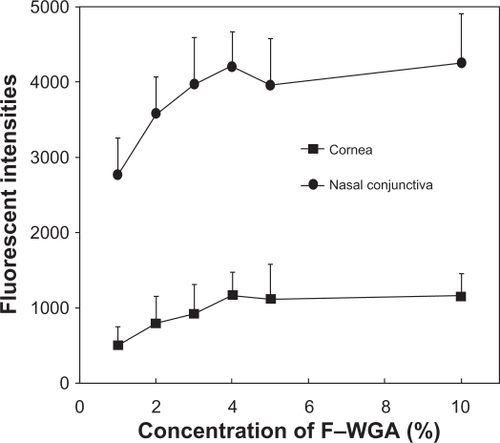 Figure 1 Plot of fluorescent intensities and wheat germ agglutinin conjugate of fluorescein (F-WGA) concentration. The fluorescent intensities at the central cornea and nasal bulbar conjunctiva increased as the concentrations of F-WGA solution increased from 1% to 3%. They reached a plateau with F-WGA concentrations between 3% and 10%.