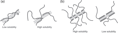 Figure 16. Schematic diagram of nanotube interactions with (a) a pyrene-containing random copolymer (left) versus a block copolymer (right) and (b) short pyrene-functionalized blocks (left) and long pyrene-functionalized blocks (right) in block copolymers. Reproduced with permission from G J Bahun et al 2006 J. Polym. Sci., A: Polym. Chem 44 1941. Copyright 2006 John Wiley and Sons.