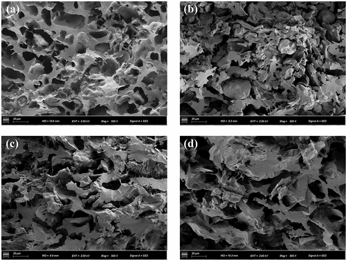 Figure 7. Microstructure of Niangpi fabricated at different wobbling times.