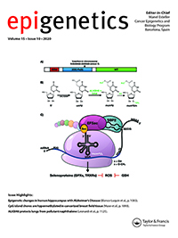 Cover image for Epigenetics, Volume 15, Issue 10, 2020