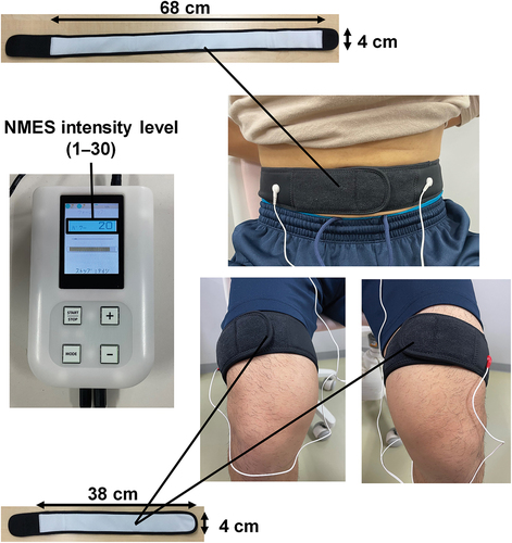 Figure 2. Description of a neuromuscular electrical stimulation device.