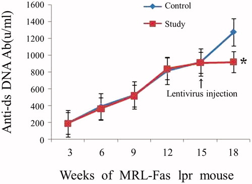 Figure 4. The level of anti-dsDNA Ab in serum of the 18-week-old MRL-Fas(lpr) mice. At 15 weeks old, MRL-Fas(lpr) mice (8 mice per group) received an intravenous tail vein injection of lentivirus (1×109 pfu) or controls. The anti-dsDNA Ab concentrations in mouse serum were determined at 3-week intervals. Similar results were obtained in three individual experiments. *p < 0.05 compared with control.
