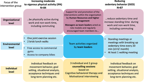 Figure 1. Overview of the multi-level interventions.