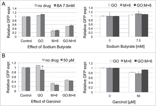 Figure 5. Effects of sodium butyrate (A) and garcinol (B) on BER in HCT116 cells. Cells were treated as described in Figs. 3 and 4. Two plasmid constructs, M+6 and GO:M+6 were used to monitor LP-BER. The general effects of inhibitors on BER are assessed with the GO construct. The presented data are the mean of 3 independent experiments; error bars indicate SD. The star (*) indicates P < 0.05 using a Student's t-test. P values were compared with the culture without inhibitor.