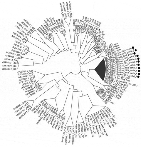 Figure 2. Phylogenetic analysis of IBV samples based on partial HVR1 sequences. Shown sequences represent all infectious bronchitis virus genotypes (GI) proposed by [Citation18] with samples from the present study indicated by black circles. The tree was constructed using the nucleotide substitution of the Hasegawa-Kishino-Yano model with the gammadistributed rate (with four rate categories) with bootstrap value based on 1000 replicates