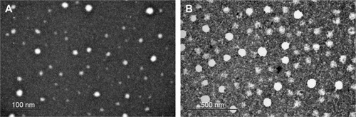 Figure 2 TEM images of the nanoemulsions.Notes: Electronic micrographics obtained after negative contrast of the nanoemulsion without (A) and with the extract (B) of Rapanea ferruginea stem bark. ×15,000.