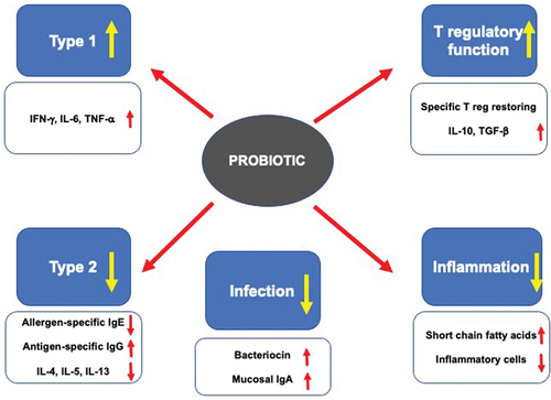 Figure 1. Potential mechanisms of action of probiotics.