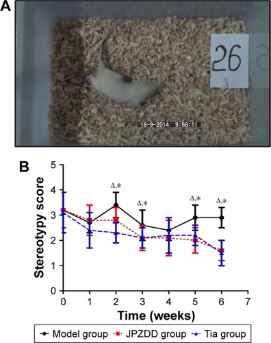 Figure 2 Comparison of stereotypy scores after treatment.