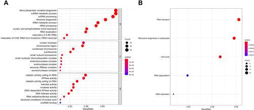 Figure 3 (A) Top 10 significant enrichment GO terms of co-DEmRNAs. The sizes of the dots represent the numbers of genes in each GO category. The colored dots represent the term enrichment: blue indicates low enrichment, and red indicates high enrichment. (B) Top five enriched KEGG pathways for the co-DEmRNAs. The y-axis shows the KEGG pathway names. The sizes of the dots represent the numbers of genes. The colored dots represent the term enrichment: blue indicates low enrichment, while red indicates high enrichment.