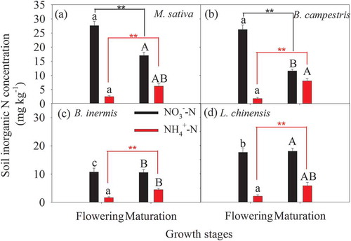 Figure 3. Soil NO3−-N and NH4+-N concentrations in the four species cultivations during the flowering and maturation phases. Different lowercase and uppercase letters mean significant difference in soil NO3−-N or NH4+-N concentration during the flowering and maturation phases, respectively. Two asterisks (**) mean a significant difference between the two growth stages at the level of 0.01 based on t-test