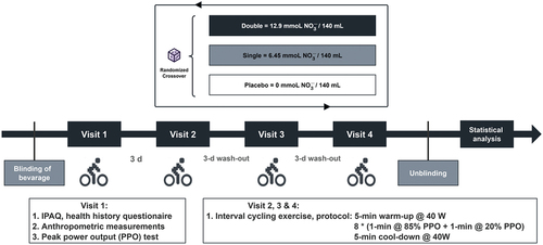 Figure 1. Overview of the experimental protocol and methodological aspects of study timeline.