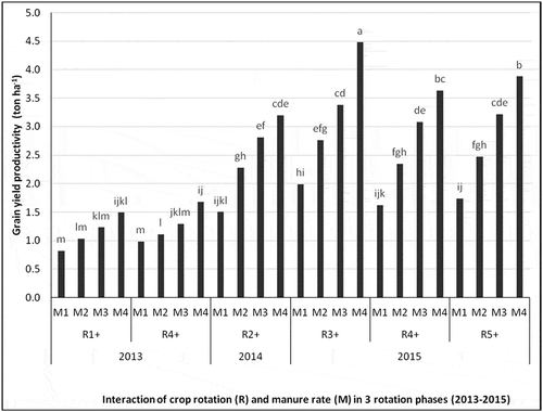 Figure 2. Average grain productivity of bread wheat over sites combination as influenced by interaction of crop rotation and manure application in three rotation phases (2013–2015) in northwest Ethiopian highlands (bars followed with the same letters are not significantly different at P ≥ 0.05).