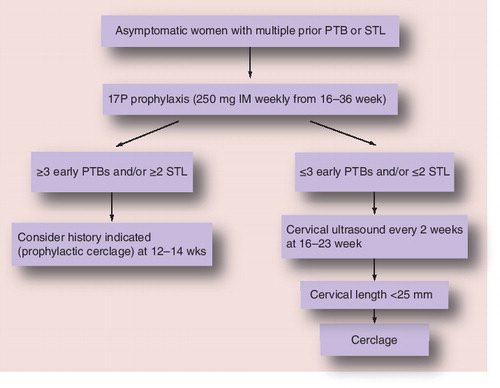 Figure 7. Care algorithm for asymptomatic women with multiple prior spontaneous preterm birth or second-trimester losses.17P: 17α-hydroxyprogesterone caproate; IM: Intramuscular; PTB: Preterm birth; STL: Second trimester losses.