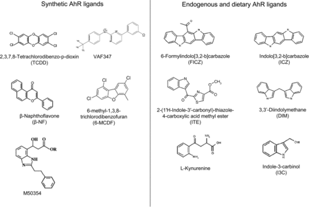 Figure 2. Structures of synthetic, endogenous and dietary AhR ligands.