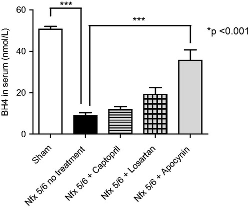 Figure 2. Determination of serum tetrahydrobiopterin (BH4) at 14 days postnephrectomy in C57BL6 mice. Illustration of the quantity of BH4 (nmol/L), an indicator of the functionality of endothelium tissue, in the serum of the different groups of C-57BL6 mice: Sham, a 5/6 nephrectomy only (Nfx 5/6 no treatment), and a 5/6 nephrectomy followed by treatment with captopril (Nfx 5/6 + Captopril), losartan (Nfx + Losartan) or apocynin (Nfx + Apocynin). Only the apocynin-treated group showed an increased bioavailability of BH4. Each bar represents the mean ± standard error and statistical significance (***p < .001) was evaluated by one-way analysis of variance (ANOVA), followed by post hoc and Tukey’s test.