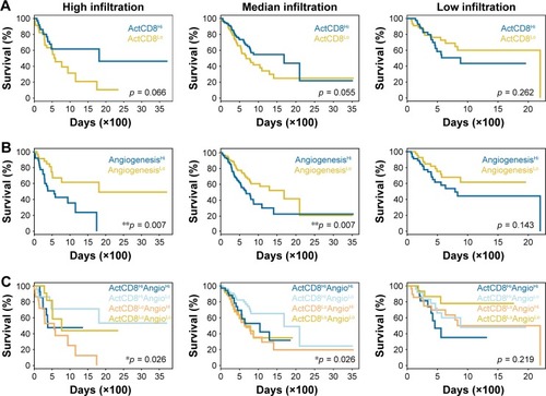 Figure 4 Prognosis predictions by angiogenesis and infiltration of activated CD8+ T cells.