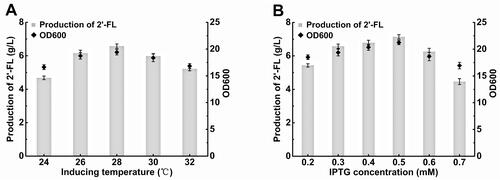 Figure 7. Effect of different induction temperatures and IPTG on the cell density and 2'-FL production of recombinant E. coli FL-011.Note: Culture was carried out in 500 mL shake flask containing 100 mL medium at 230 rpm and 37 °C and was induced with 0.3 mmol/L IPTG at five different induction temperatures (24, 26, 28, 30, 32 °C) for 96 h and was induced with different IPTG concentrations at 28 °C for 96 h. The OD600 value was obtained by diluting the sample to OD < 1 and multiplying by the corresponding dilution factor. All experiments were conducted at least thrice and the error bars represent the standard deviations.