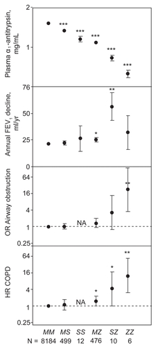 Figure 1 Plasma α1-antitrypsin, FEV1 decline, and risk of airway obstruction or COPD by α1-antitrypsin genotype. Values are mean ± SEM, odds ratio [OR] (95% CI), or hazard ratio [HR] (95% CI). ***p < 0.001, **p < 0.01, *p < 0.05. Data derived from Dahl M, Tybjaerg-Hansen A, Lange P, Vestbo J, Nordestgaard BG. Ann Intern Med. 2002;136:270–279.Citation18