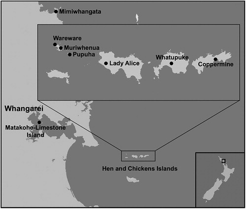 Figure 1. Location of sites within Northland, New Zealand where reptiles were captured and translocated to Matakohe-Limestone Island.