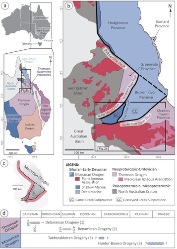 Figure 1. (a) Map showing the subdivision of the Tasmanides into five orogens (after Rosenbaum, Citation2018). (b) Geological map of the Mossman Orogen and adjoining tectonic blocks (modified from Henderson et al., Citation2013). (c) Schematic representation of the orocline (pink coarse line). (d) Orogenic phases within the Thomson and Mossman orogens (after Rosenbaum Citation2018). Approximate ages (in Ma) are indicated by numbers (not in parentheses). Numbers in parentheses correspond to the respective references: (1) Withnall et al. (Citation1996) and Nishiya et al. (Citation2003); (2) Fergusson et al. (Citation2005) and Ali (Citation2010); (3) Henderson et al. (Citation2011).