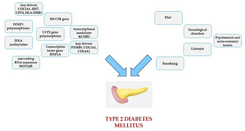 Figure 1 An example of main genomic, lifestyle and environmental factors linked to type 2 Diabetes Mellitus.