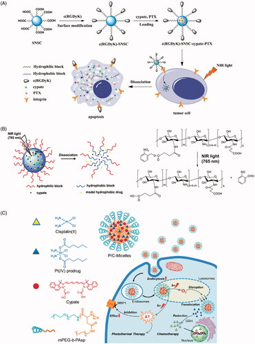 Figure 8. (A) Synthetic scheme of targeted NIR light sensitive nanoplatform c(RGDyK)-SNSC and αvβ3-mediated binding of tumour cells; (B) schematic illustration of using NIR light excitation of cypate to trigger dissociation of SNSC micelles; (C) Schematic illustration of the micelles encapsulating Pt(IV) prodrug and Cypate (P/C-Micelles) as a multipronged nanoparticle platform for efficient ablation of resistant tumour. Copyright from Elsevier, 2013 (Ref [Citation43]), ACS, 2015 (Ref [Citation45]).