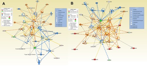 Figure 7 Predicted biological functions (z-score > 2 or z-score <−2) associated with DG treatment identified by ingenuity pathways analysis. (A) Networks associated with DG treatment in the HP. (B) Networks associated with DG treatment in the PFC.