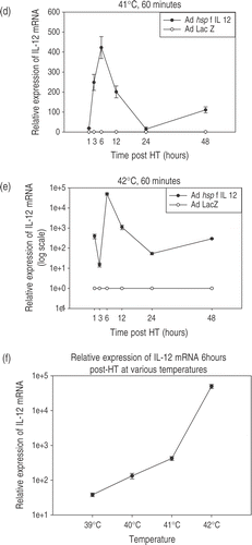 Figure 3. Temperature-dependent IL-12 expression. Profiles of temperature-dependent changes in IL-12 mRNA expression at specified time-points after hyperthermia. Cells were infected using the Ad hsp fIL-12 construct at MOI = 20. (a) Shows the minimal levels of expression at the early time points in unheated cells (kept in an incubator at 37°C, 5% CO2). (b−e) Show the profiles for heating at 39°C, 40°C, 41°C and 42°C for a duration of 60 min. Each temperature experiment was performed 2–3 times each in triplicate. The maximal expression of mRNA is seen at 6 h post-HT in all cases with a rapid decrease and then a secondary increase at 48 h. There is an ∼3.5-fold increase in maximal expression between 39°C, 40°C and 41°C. However, a supra-linear increase is seen at 42°C (note: log scale on y-axis). (f) Shows the maximal relative expression of IL-12 at the 6-h post-HT time point relative to temperature.