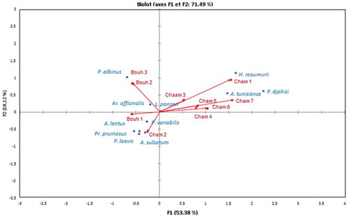 Figure 4. Canonical correspondence analysis (CCA) of isopod species, altitude and habitat type. Abbreviations: Bouh 1, 2, 3 and Cham 1, 2, 3, 4, 5, 6, 7 – habitats in Bouhedma Park and Chambi Park, respectively.