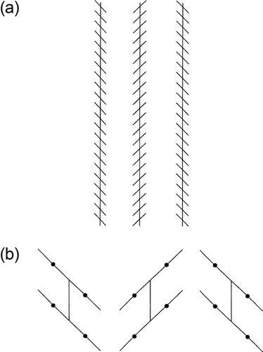 Figure 7. (a) Reduced form of the Zöllner figure in which the left and right vertical parallels appear to be slightly non-parallel with the vertical parallel between them. (b) Enlargement of the units in (a) to show the difference in the apparent distances in the acute and obtuse angles formed by the oblique and vertical lines