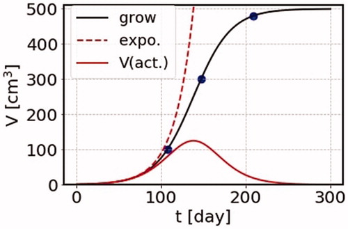 Figure 1. The growth function as a function of time in unit of day is shown by solid curve (grow). We take the case of the terminal volume K = 500 cm3. Shown by dashed curve is an exponential function with the doubling time Teff = 15.4 days. The active cell volume Vactive=Nactivevc is shown by solid curve (V(act.)). Three dots are the places where we perform cancer treatment calculations.