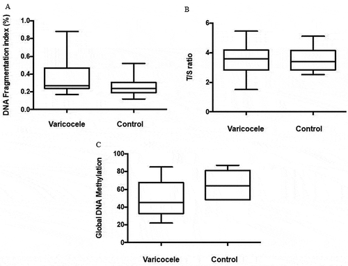 Figure 2. Variables analyzed in the varicocele and control groups. (A) DNA fragmentation index; (B) Telomere content (T/S ratio); (C) Percentage of global DNA Methylation (p > 0.05) .