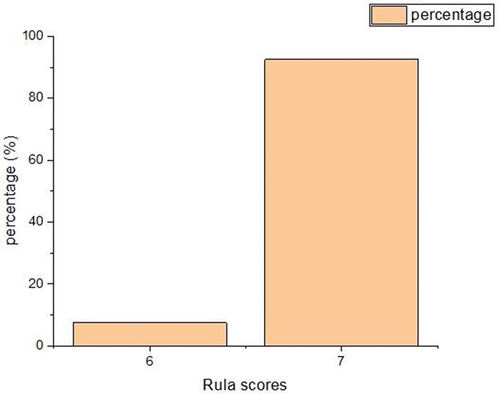 Figure 6. RULA scores: Ironing workers.