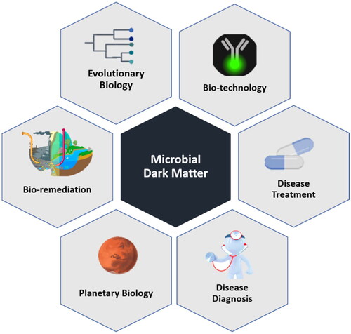 Figure 4. Application of microbial dark matter (MDM) in various fields.