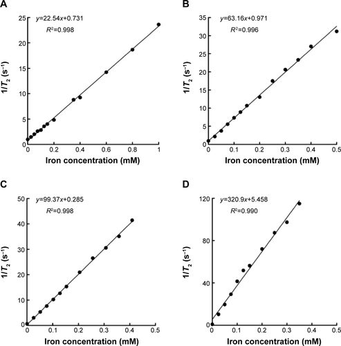 Figure S3 Analysis of transverse relaxivity of M-HFn nanoparticles by linear mapping iron concentration and 1/T2.Notes: Transverse relaxivity (r2) analysis of (A) M-HFn1000, (B) M-HFn3000, (C) M-HFn5000, and (D) M-HFn7000. Slope of line represents r2.Abbreviations: M-HFn, ferrimagnetic H-ferritin; T2, transverse relaxation times.