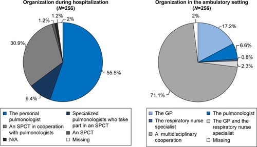 Figure 6 The opinion of respondents about who should organize palliative care for patients with COPD during hospitalization and in the ambulatory setting.