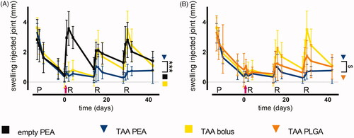 Figure 3. TAA-releasing PEA microspheres reduce joint swelling most efficaciously. Rats treated with a single intra-articular knee injection of (A) empty PEA microspheres n = 6 (black squares), TAA loaded PEA microspheres n = 5 (blue triangles) and TAA bolus suspension n = 6 (yellow squares), and (B) TAA loaded PEA microspheres n = 5 (blue triangles) benchmarked versus TAA bolus suspension n = 6 (yellow squares) and TAA loaded PLGA microspheres n = 6 (orange triangles). Swelling of the experimental knee joints is expressed as difference between joint thickness and baseline joint thickness. Pink arrow indicates time point of the intra-articular knee injection. P: priming, R: reactivation. Data are presented as mean ± SD, $p = .053 and ***p < .001.