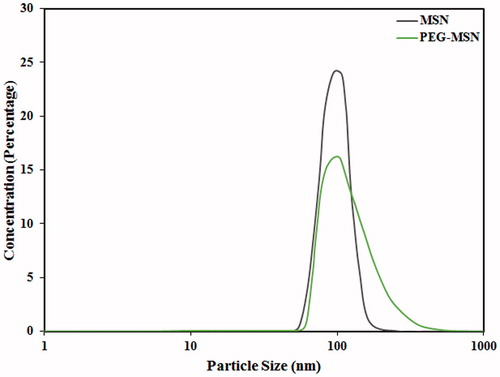 Figure 4. Particle size distribution of the MSNs prior to, and after PEGylation.