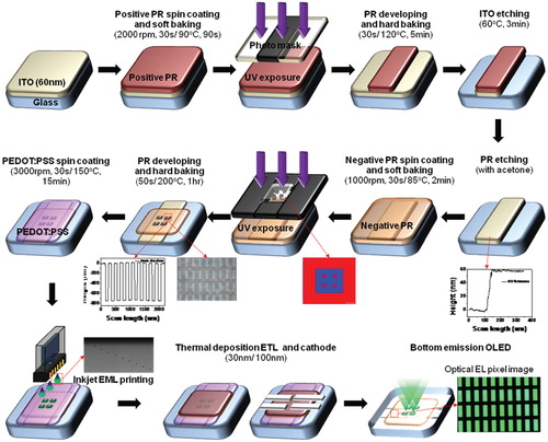 Figure 1. Schematic diagram of the overall process: stripe-patterned ITO test of the coupon cell, spin-coating of the hole injection layer, inkjet printing of the emitter, and evaporation for printed OLED fabrication.