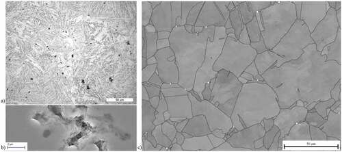 Figure 2. Creep cavitation damage (a) and (b) in HAZ of X20 steel [Citation27], and (c) in oxygen free phosphorus doped (OFP) copper [Citation26].