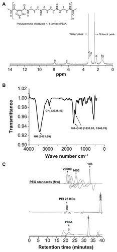 Figure 2 Chemical structure and molecular weight characterization of PSIA: (A) 1H-NMR spectrum (DMSO-d6); (B) FT-IR spectrum (within a KBr disk); (C) SEC charts (with PEG as standards and PEI 25 kDa as a calibration standard).Abbreviations: PSIA, polyspermine imidazole-4, 5-amide; 1H-NMR, proton nuclear magnetic resonance; FT-IR, fourier transform infrared; SEC, size exclusion chromatography; PEG, polyethylene glycol; PEI, polyethyleneimine.