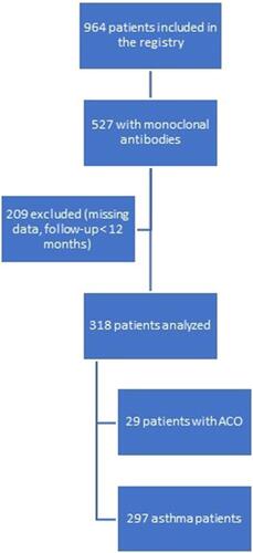 Figure 1 Stages of the patient inclusion.