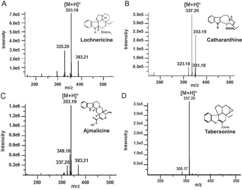 Figure 2.  MS spectra of the identified indole alkaloids by HPLC-DAD-ESI-TOF/MS.