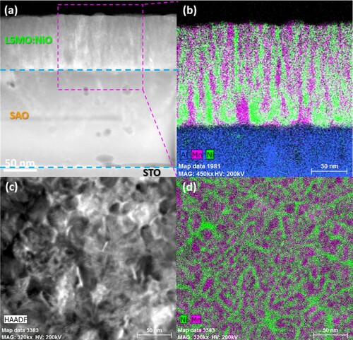 Figure 2. Low-mag scanning transmission electron microscopy (STEM) images in (a) cross-sectional and (c) plan view with their corresponding energy-dispersive X-ray spectroscopy (EDS) mapping in (b) cross-sectional and (d) plan view of the LSMO:NiO/SAO/STO sample.